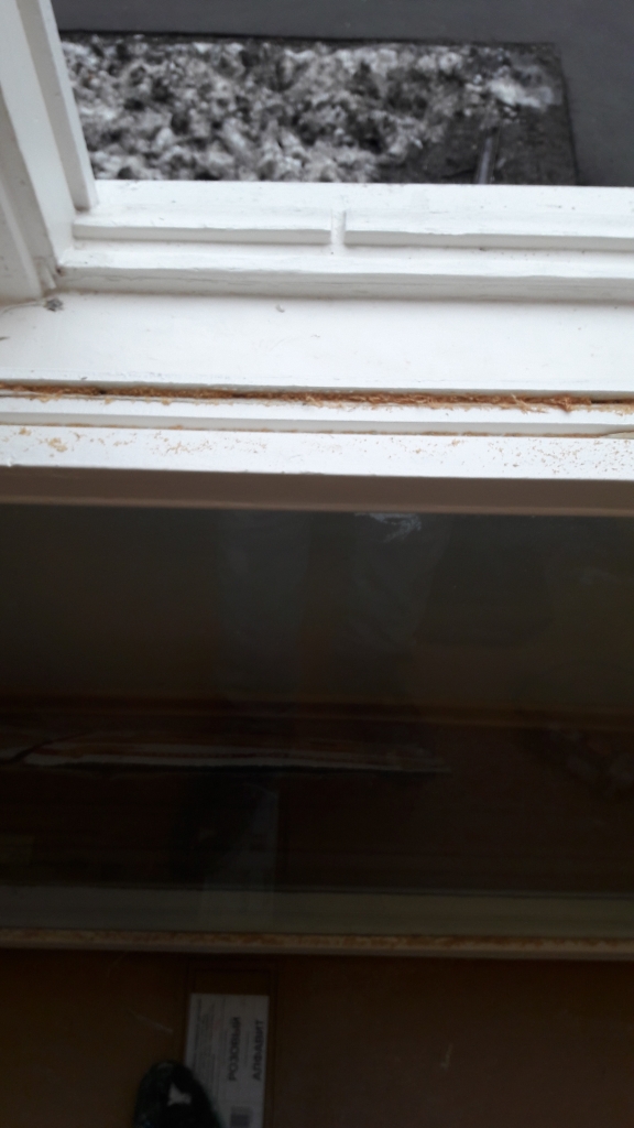 20170306_095527.jpg 20170306_095527.jpg
